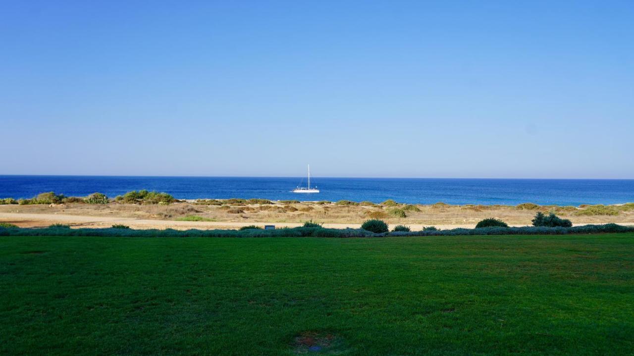 Villa Narcissus 19 Paralimni Exterior foto